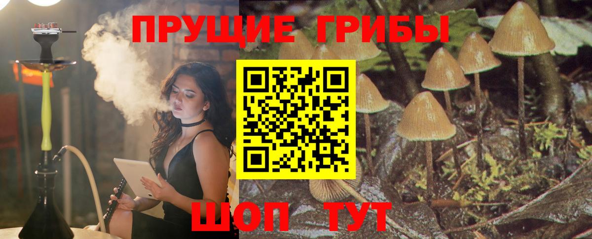 Псилоцибиновые грибы MAGIC MUSHROOMS  Вход с VPN  Когалым 
